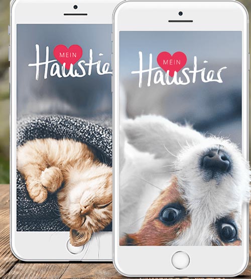 Haustier App